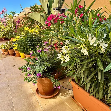 Terraza Del Sol דירה