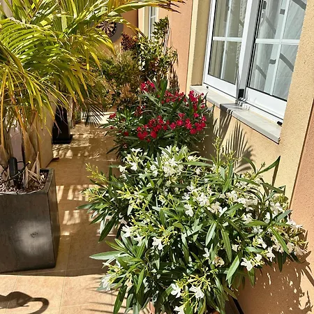 דירה Terraza Del Sol *