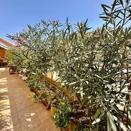 Terraza Del Sol * Palm-mar