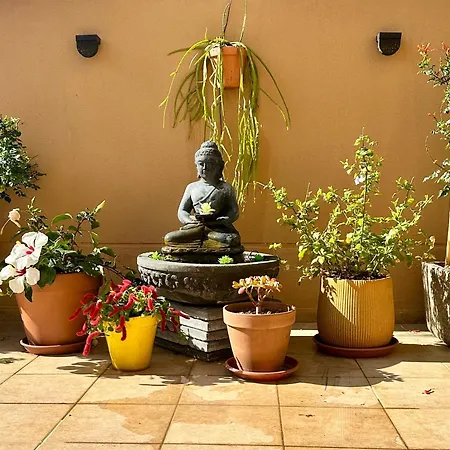 Terraza Del Sol