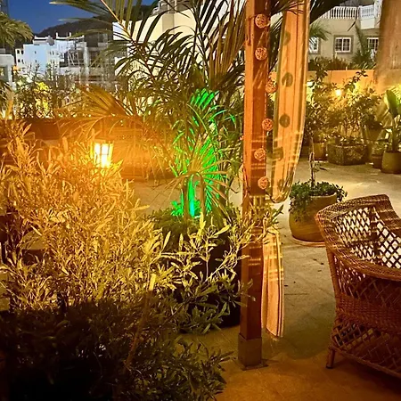 Terraza Del Sol * パルム・マール